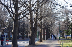 IMGP0604