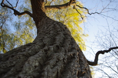 IMGP0720