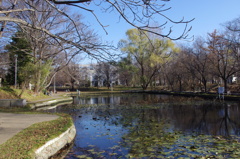 IMGP0637
