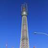 青空ツリー