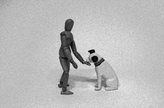 犬と人形