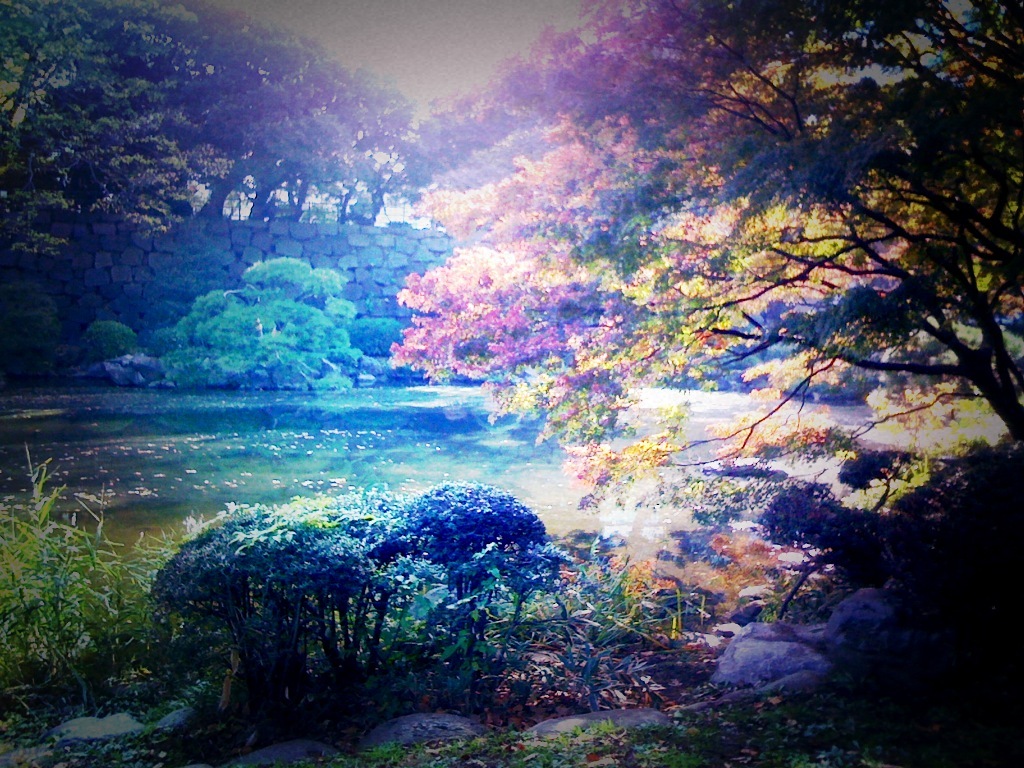 ML_017