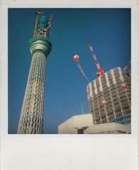 shake01