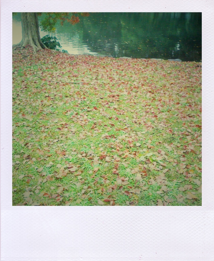 shake08