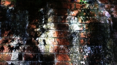 projection
