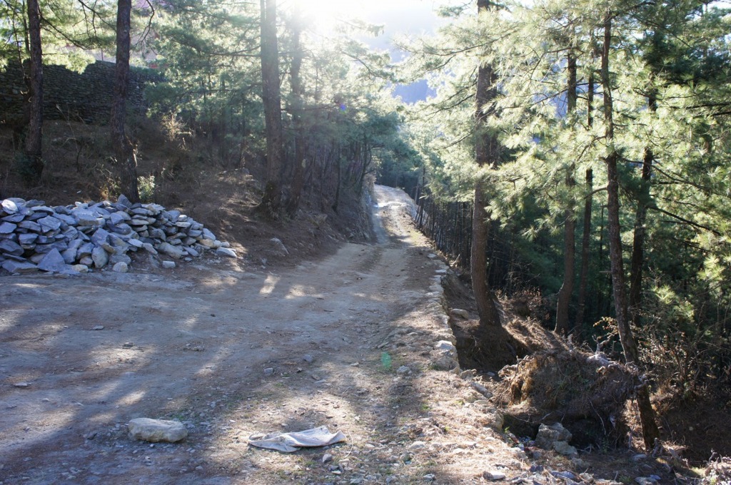 DSC01356