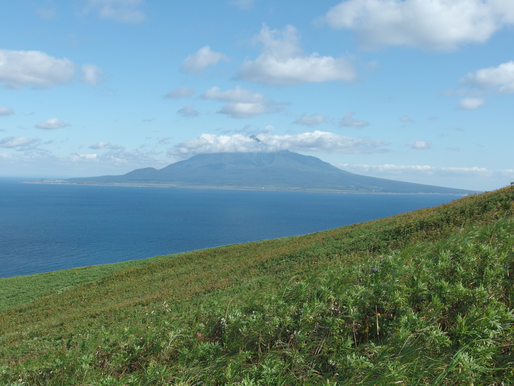 礼文より　利尻富士