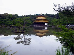 初夏の金閣寺