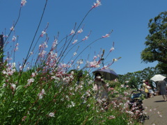 港の見える丘公園