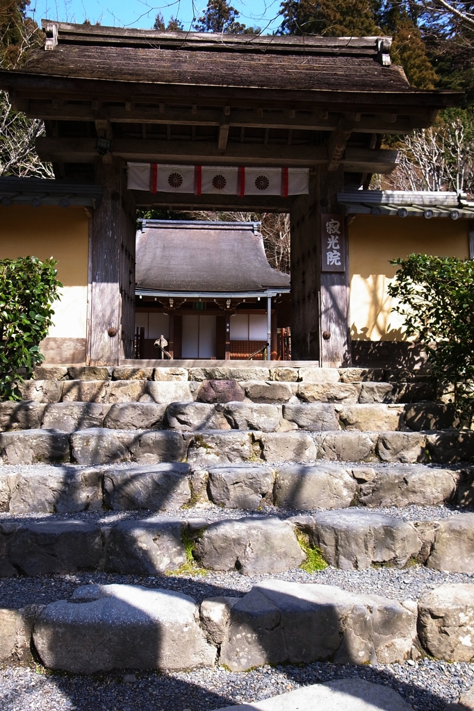 早春の寂光院　山門