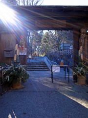 郷土民家園　正月