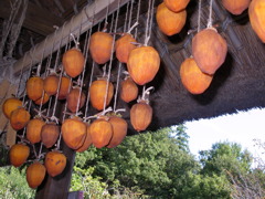 民家園　干し柿