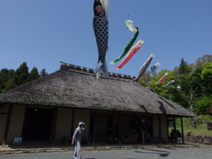 民家園　鯉のぼり