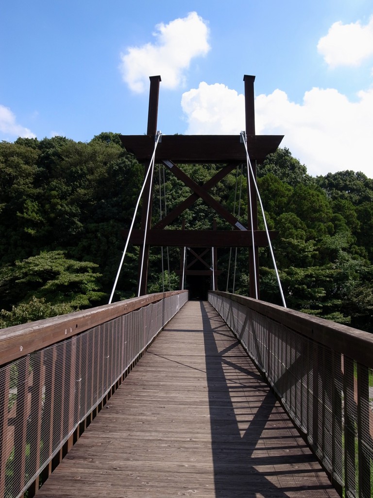 泉の森　吊り橋