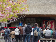 民家園、浄瑠璃　開演前