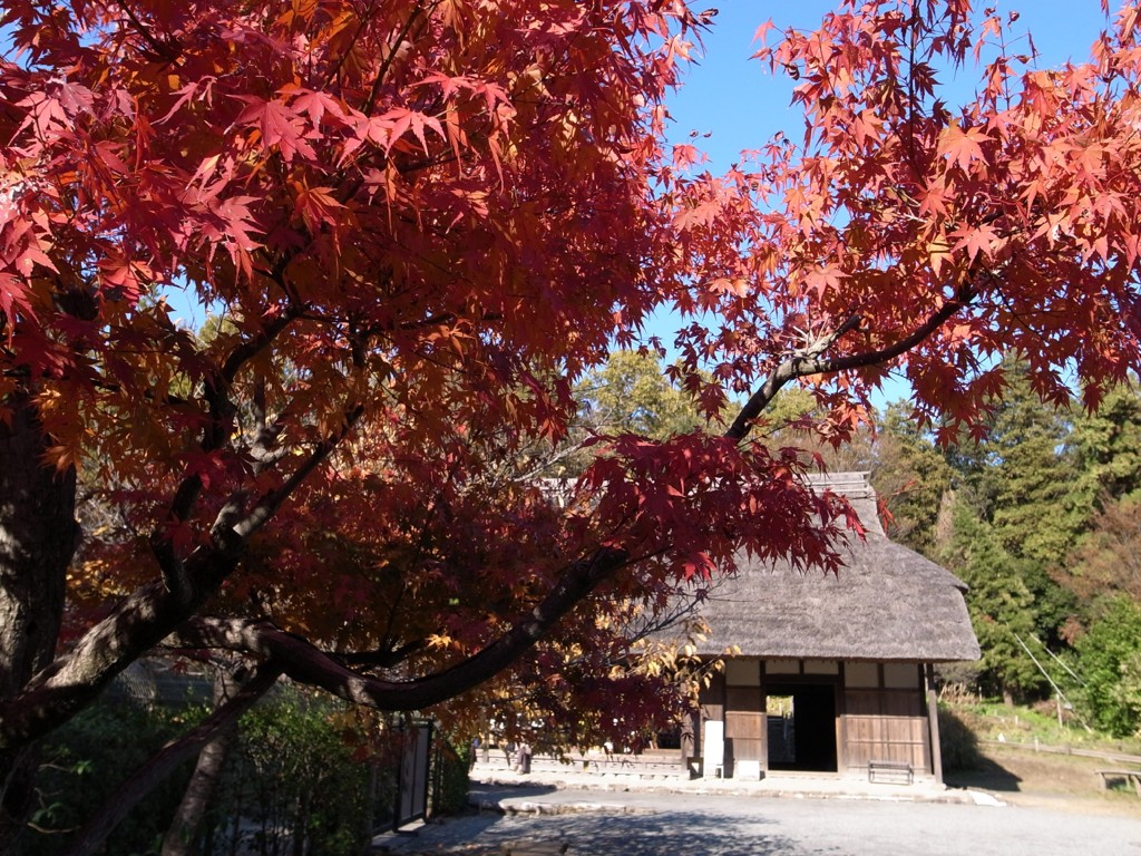 郷土民家園　秋