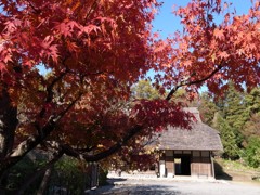 郷土民家園　秋