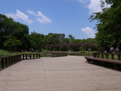 泉の森 緑のかけ橋