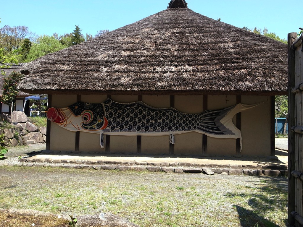 郷土民家園　鯉