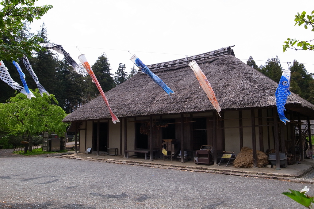 郷土民家園鯉のぼり