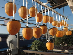 今年も吊るしました