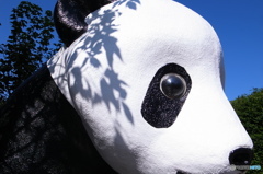 川越　パンダ