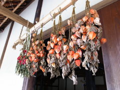 郷土民家園　軒下