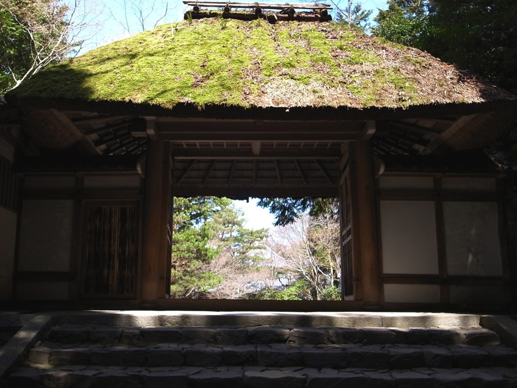 早春の法然院　山門