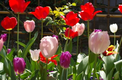 撮らしていただきました