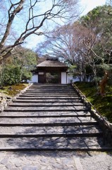 早春の安楽寺　山門