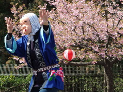 民家園　春まつり