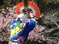 民家園　春まつり