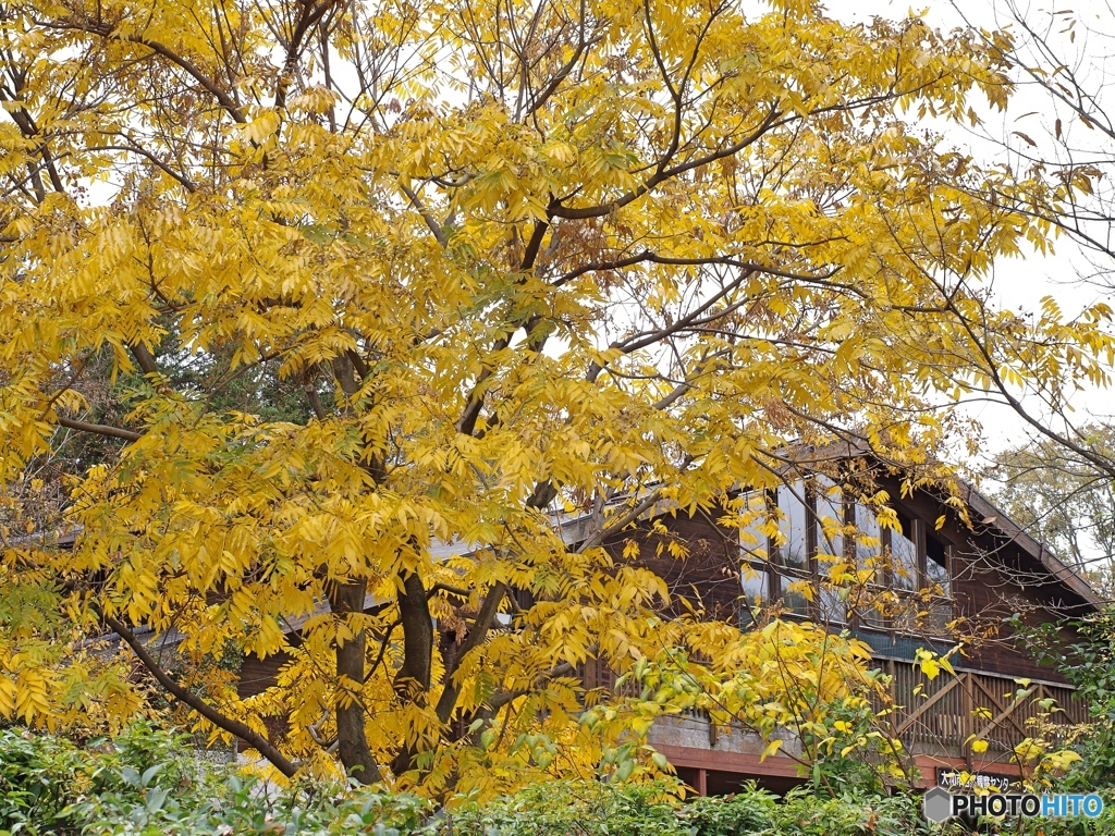 自然観察センター