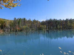 青い池