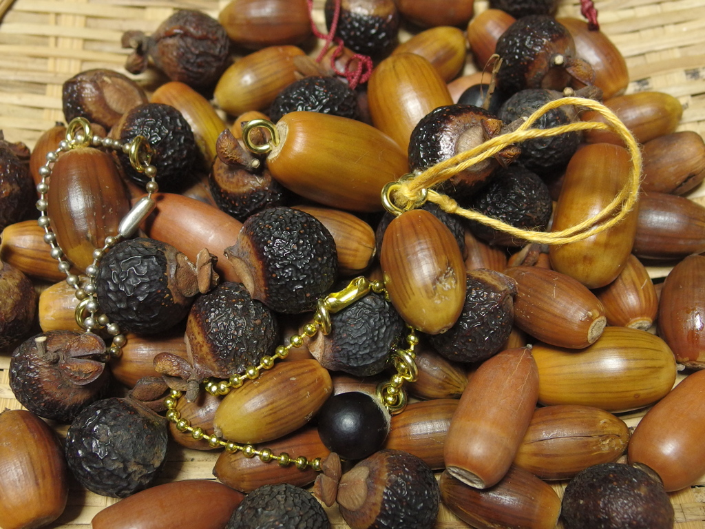 作ってあそぼう