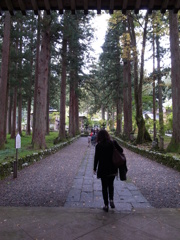秋の雲洞庵　参道