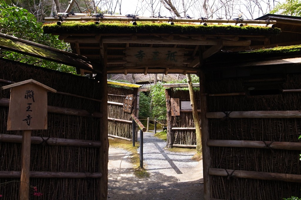早春の祇王寺山門