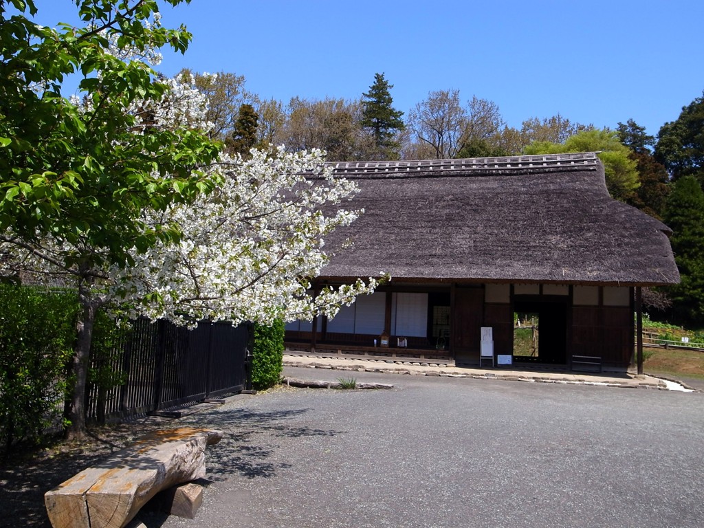 郷土民家園　春