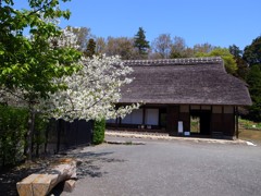 郷土民家園　春