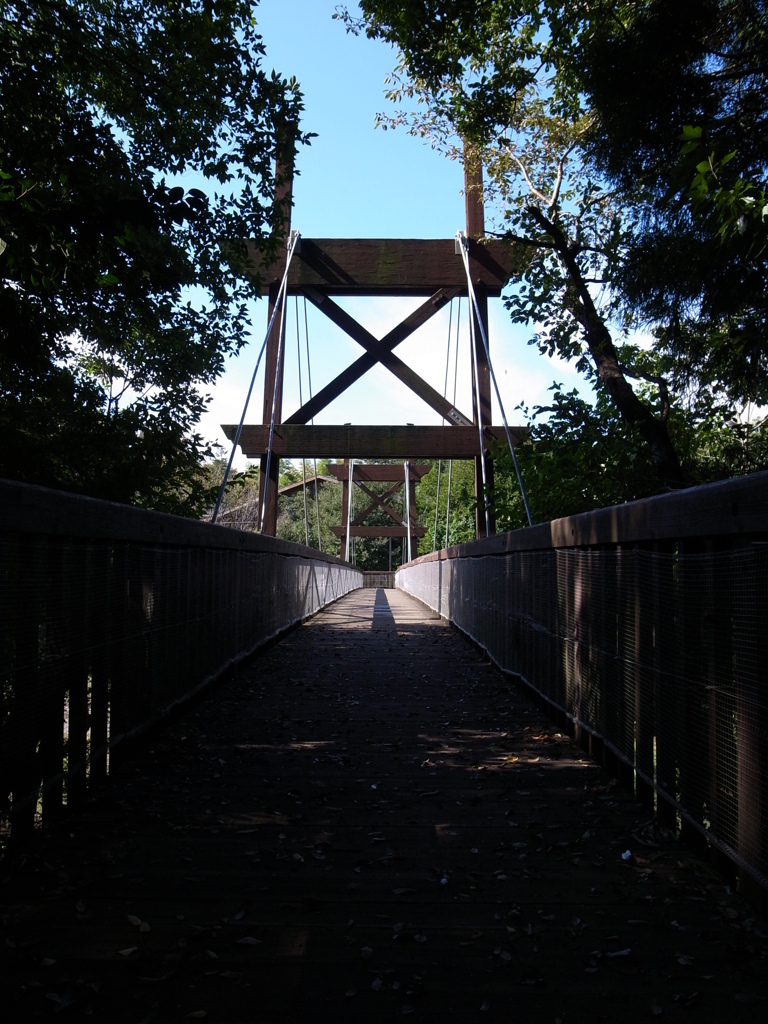 泉の森　吊り橋Ⅱ