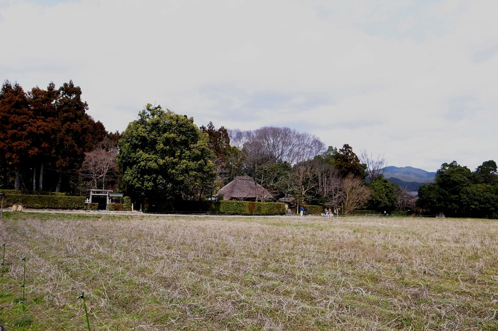 のどかな落柿舎