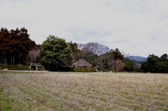 のどかな落柿舎