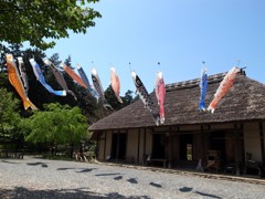 郷土民家園　鯉のぼり
