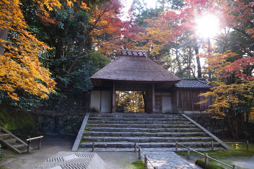 初冬の法然院山門