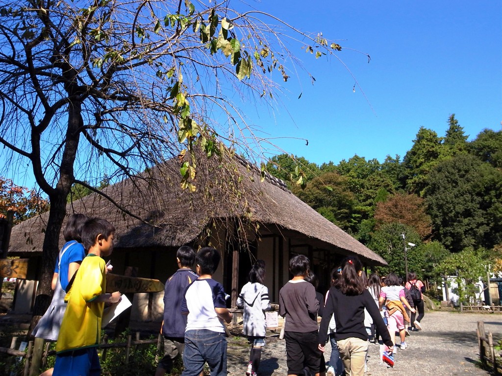 郷土民家園　野外実習　