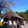 郷土民家園　野外実習　