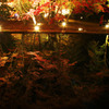 逆さ紅葉