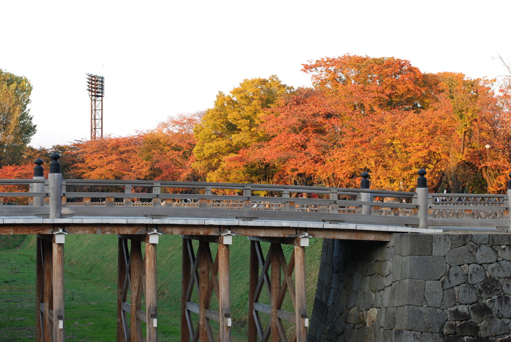 お堀と紅葉。