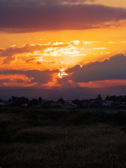 夕刻にて 2005-2006