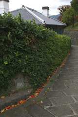 長崎市の街頭にて2008年11月編
